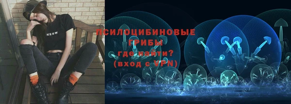 ешки Мегион
