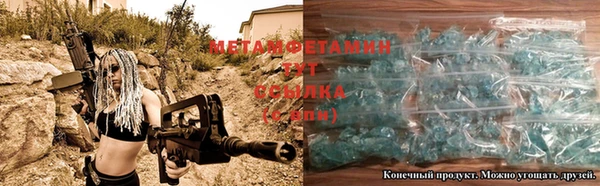 прущие грибы Михайловка