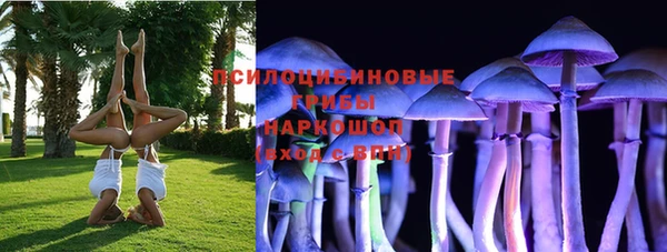 СК Медногорск
