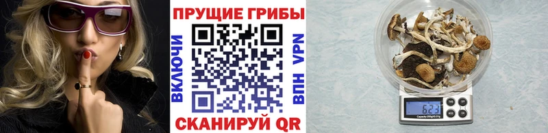 купить закладку  mega как войти  Галлюциногенные грибы прущие грибы  Пионерский 